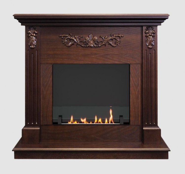 Биокамин в портале SteelHeat Adel (Стекло+стемалит)